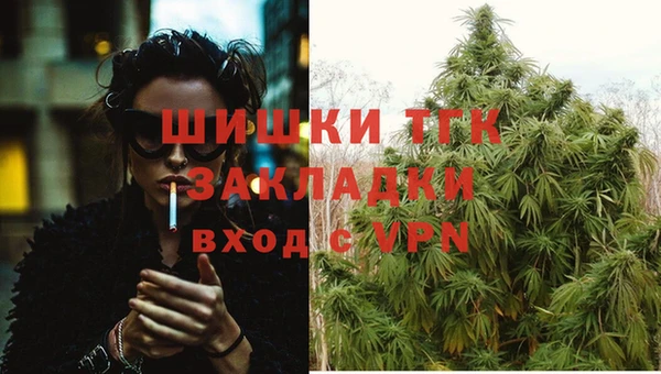 гидропоника Пестово